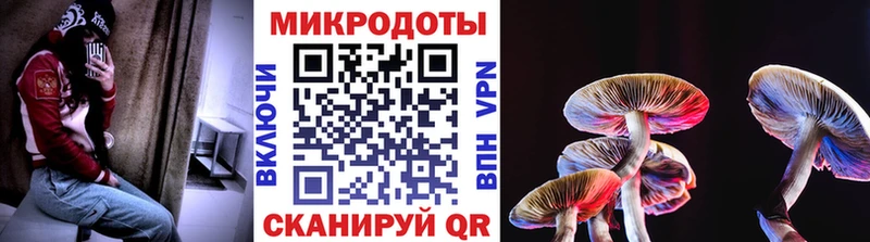 Купить закладки  Удачный  Галлюциногенные грибы GOLDEN TEACHER 